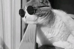 马竞1个月内4次被保级队羞辱！西蒙尼2亿欧元重建遇阻，阿尔瓦雷斯独木难支